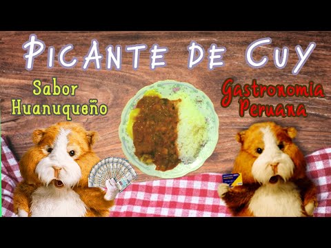 receta de picante de cuy conejillo de indias