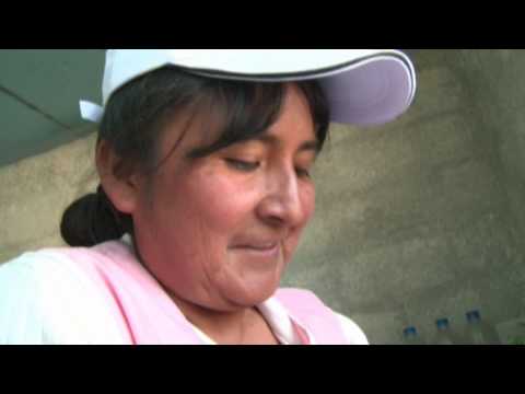 receta de picante de conejo