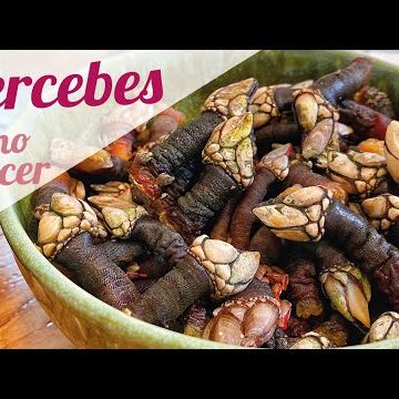 receta de percebes cocidos