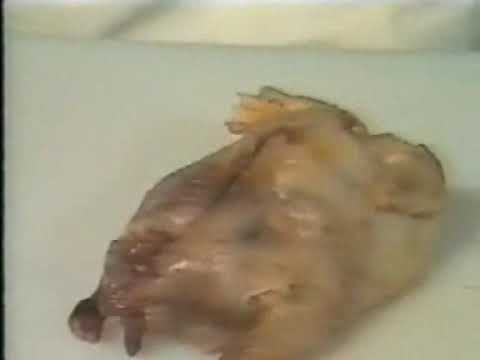 receta de perdices a la moda de alcántara